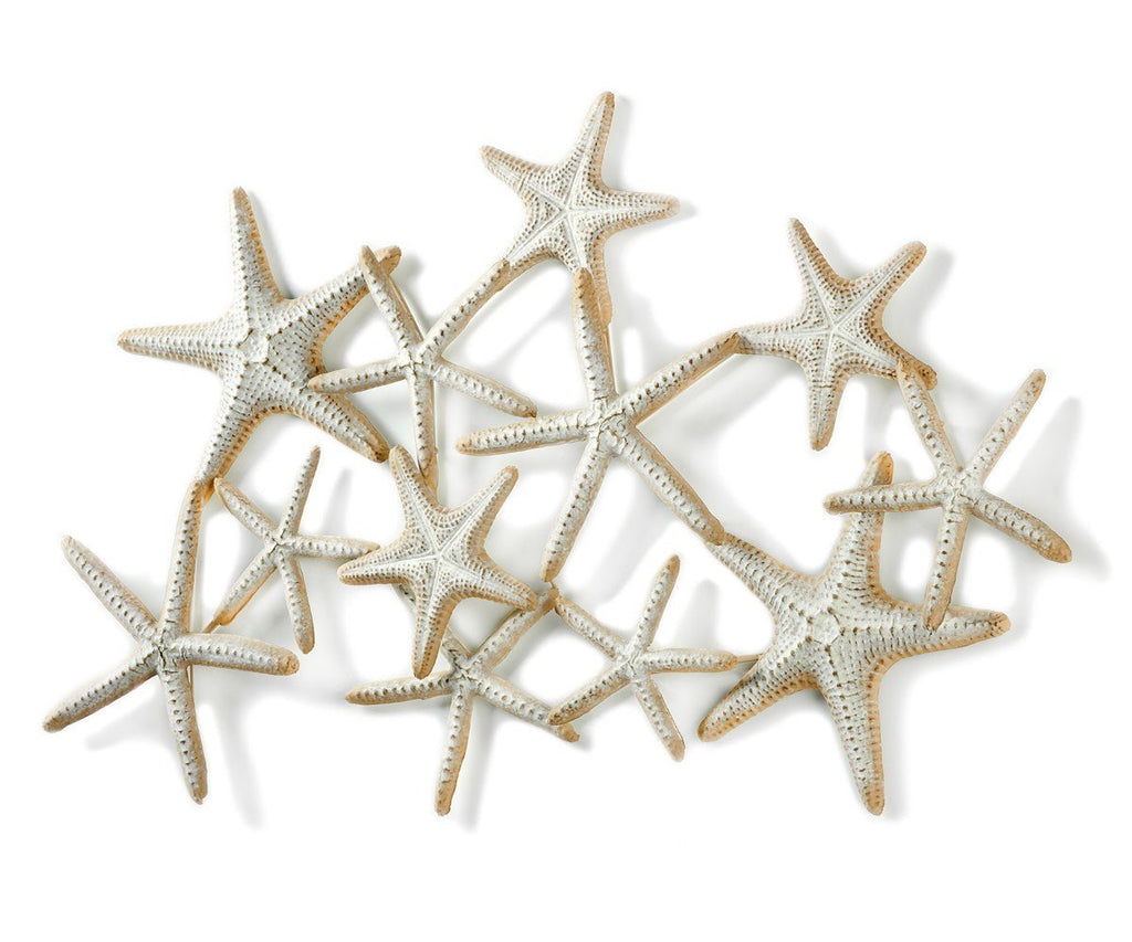 Starfish Wall Decor