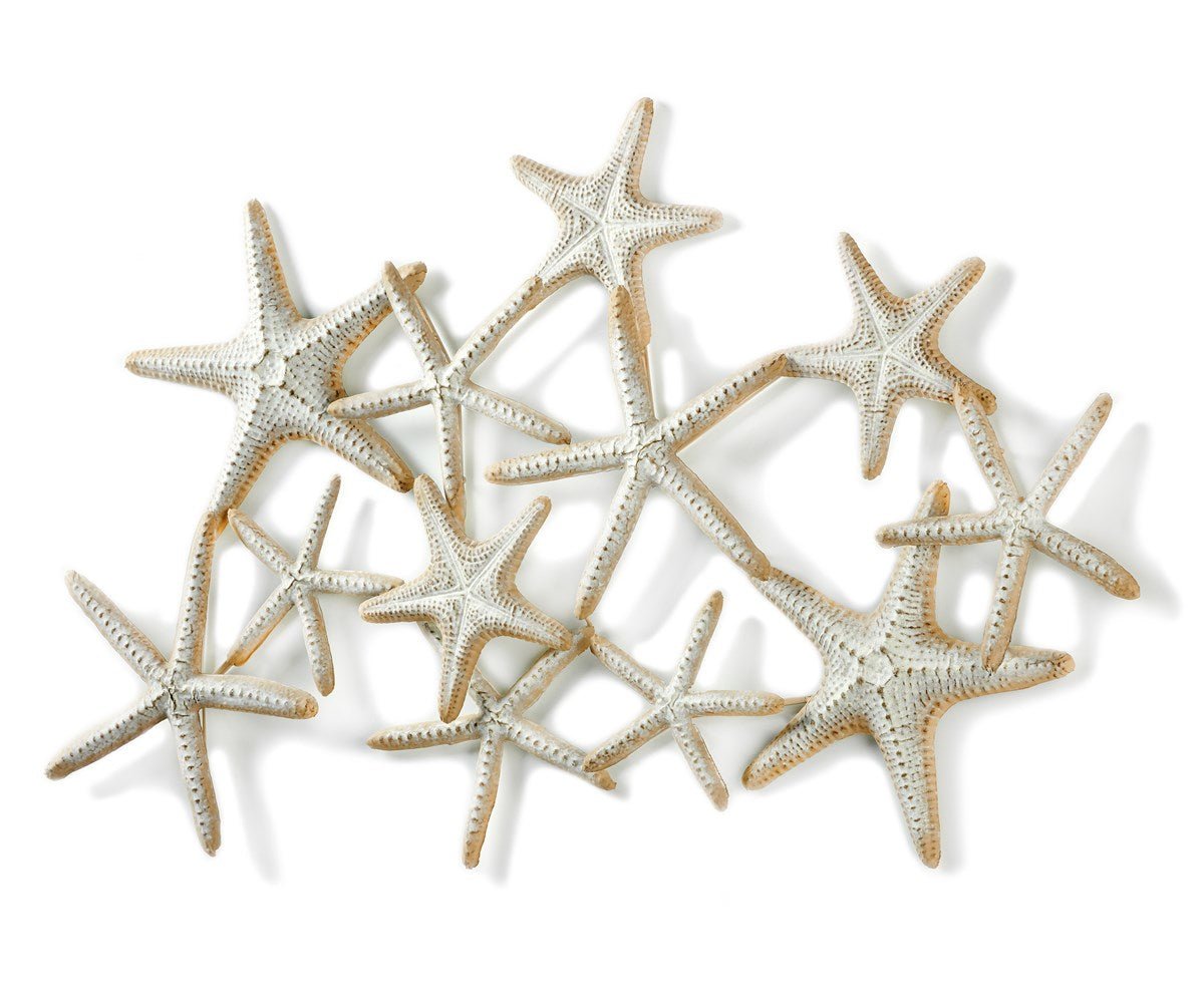 Starfish Wall Decor
