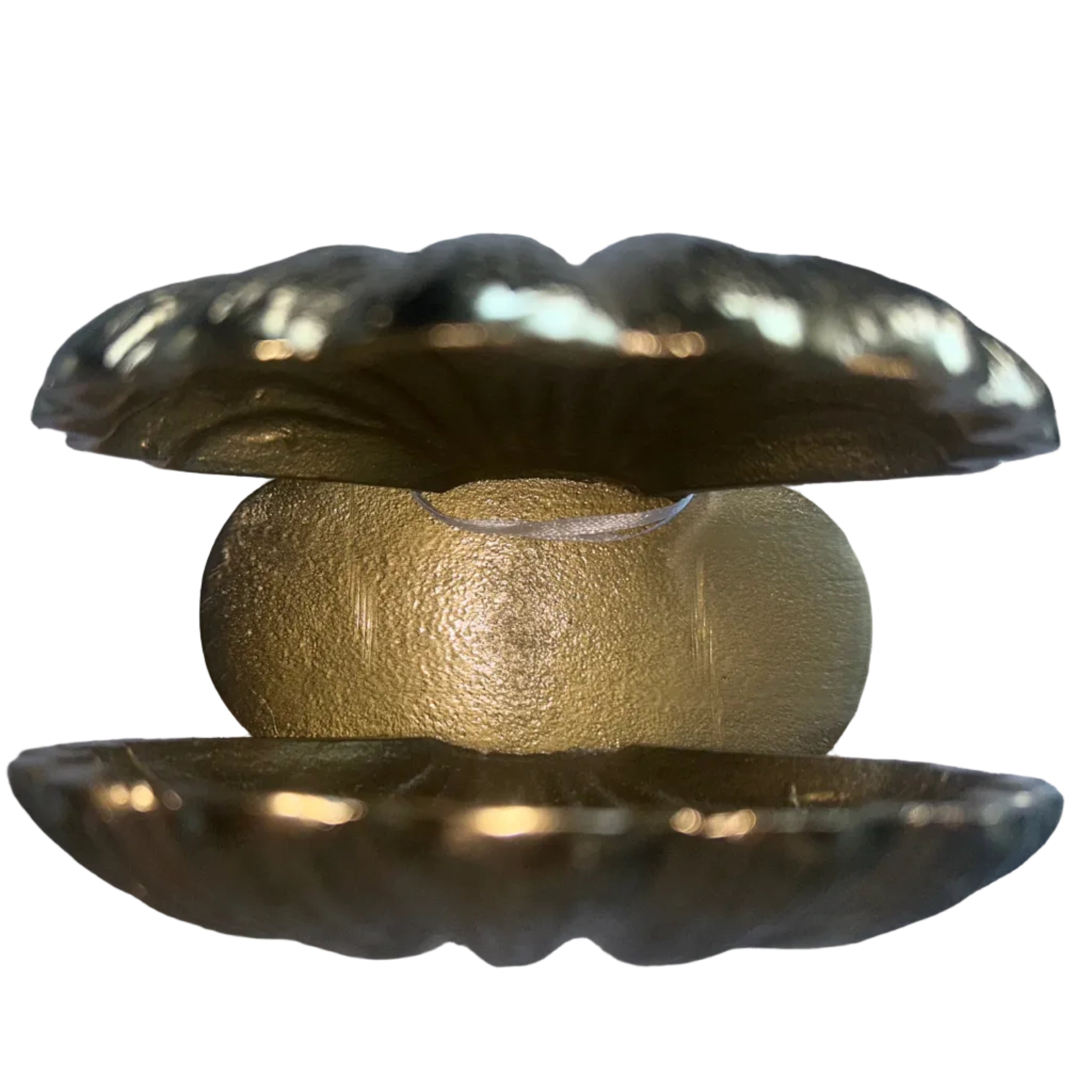 Seashell Napkin Holder